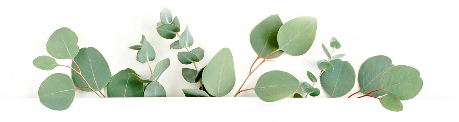 bg_title_plants_A
