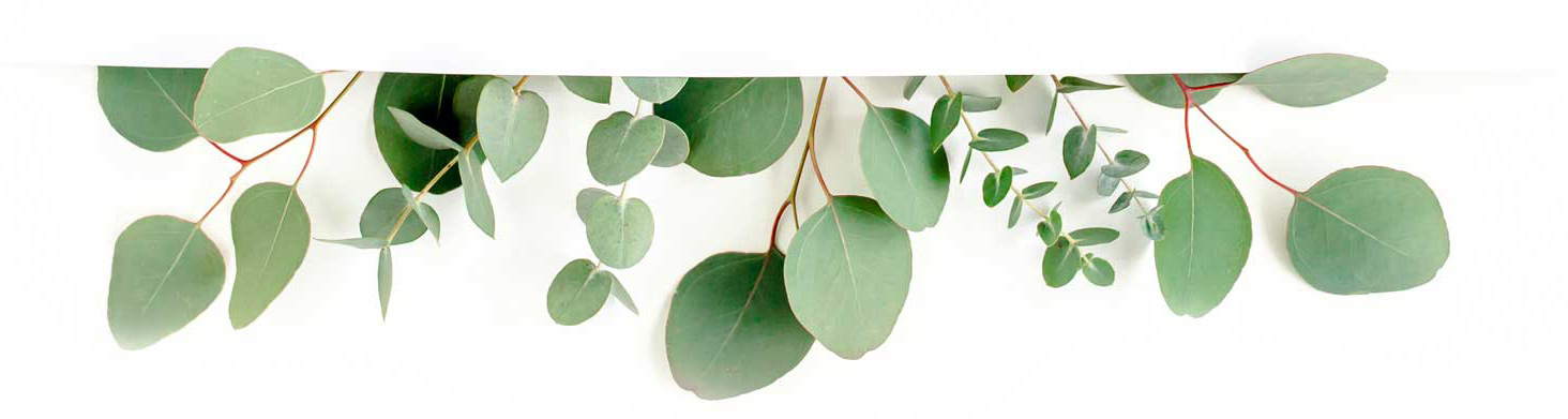 bg_title_plants_B